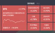 2025年1月16日复盘：光通信午后异动大涨，小红书概念持续发酵，家电迎催化