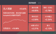 2025年2月25日复盘： 指数震荡调整，机器人，华为产业链，飞行汽车活跃