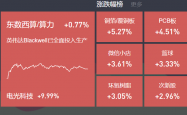 2025年1月9日复盘：PCB板大涨，机器人持续反弹，光伏迎催化