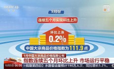 央视新闻客户端：连续五个月环比上升 9月中国大宗商品价格指数公布