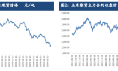 建信期货：玉米受中储粮增储提振 价格或震荡整理为主