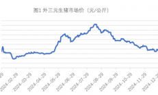 财达期货：生猪规模场出栏节奏放缓 玉米政策利好消息频出