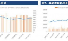 建信期货：资金离场力度加大 碳酸锂持续弱势下跌