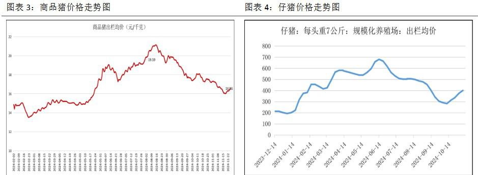 生猪出栏逐步减少 价格回落空间或有限