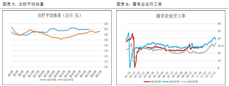 生猪出栏逐步减少 价格回落空间或有限