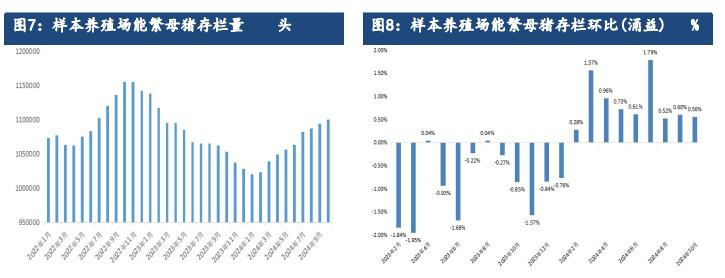 南方气温依然偏高 生猪需求跟进不足