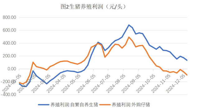 生猪供应仍面临较大压力 玉米短期受增储利好支撑