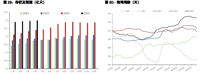 白糖春节备货临近尾声 鸡蛋挺价情绪出现松动