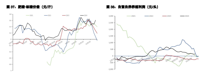 棉花市场供应充裕 生猪近月维持偏强