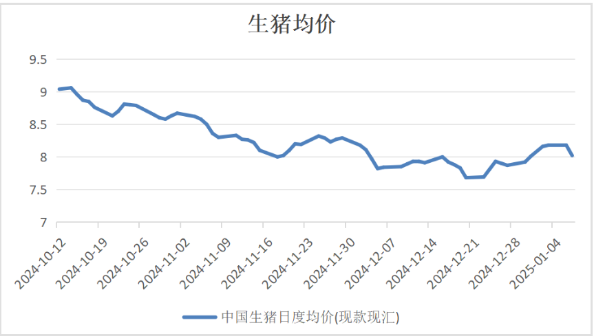 生猪需求旺季仍有支撑 价格短期或震荡运行