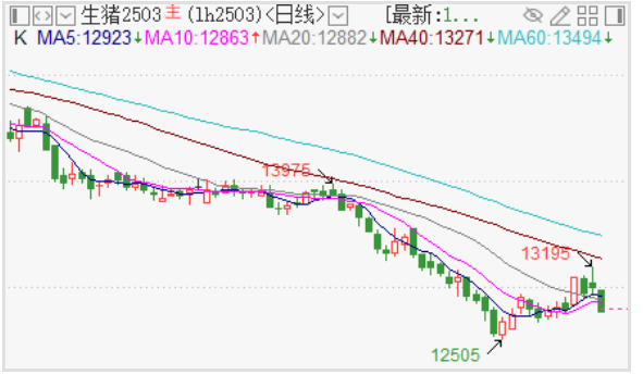 生猪需求旺季仍有支撑 价格短期或震荡运行