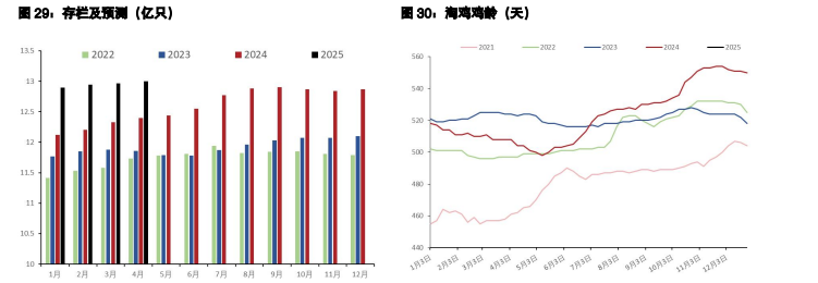 白糖节前现货交投清淡 鸡蛋备货消费支撑力度一般