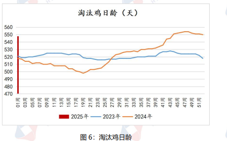 鸡蛋供强需弱格局下 价格仍以偏弱震荡为主