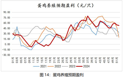 鸡蛋供强需弱格局下 价格仍以偏弱震荡为主