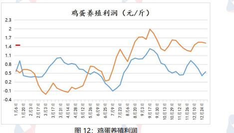 鸡蛋供强需弱格局下 价格仍以偏弱震荡为主