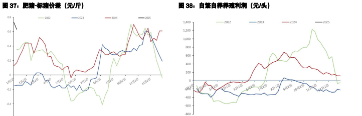 棉花利空尚未完全释放 生猪供应基调偏向过剩