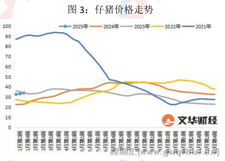 猪价持续偏弱 生猪盘面震荡运行