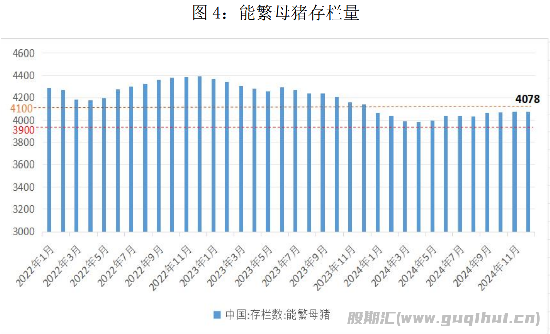 猪价持续偏弱 生猪盘面震荡运行