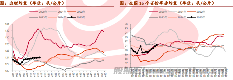 天气转热需求表现相对疲软 生猪价格行情稳定偏弱