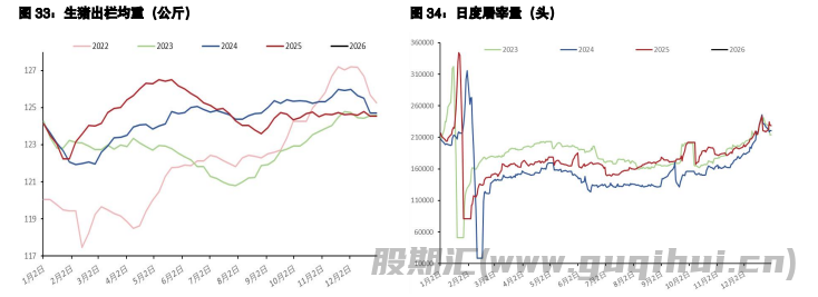 棉花期货价格减仓下跌 生猪结构性矛盾或缓解
