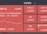 2024-12-31复盘：指数震荡调整，大消费，天然气、光伏持续活跃