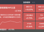 2024-12-20复盘： 指数小幅下跌  国产芯片、智能眼镜、微信小店相关概念持续活跃