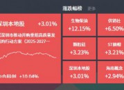 2024-11-28复盘： 生物柴油概念爆发，供销社、深圳本地股迎催化