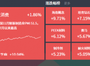 2024-12-02复盘：海南板块迎多重催化，机器人、大消费持续活跃