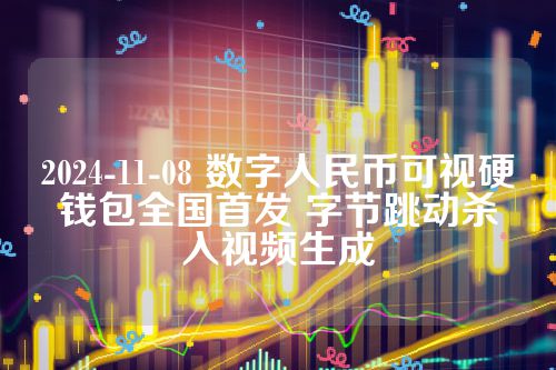 2024-11-08 数字人民币可视硬钱包全国首发 字节跳动杀入视频生成