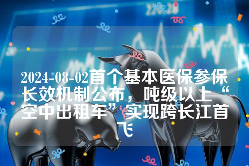 2024-08-02首个基本医保参保长效机制公布，吨级以上“空中出租车”实现跨长江首飞